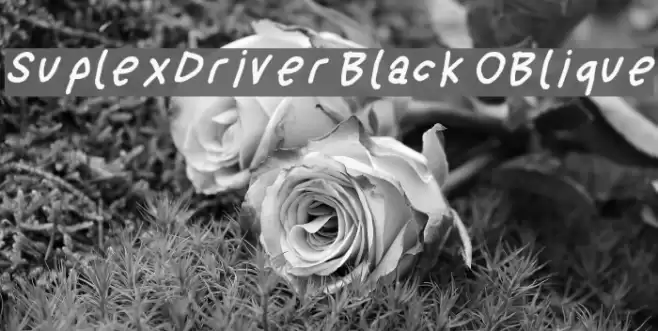 SuplexDriver Black OBlique Font examples