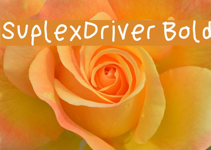 SuplexDriver Bold Font examples