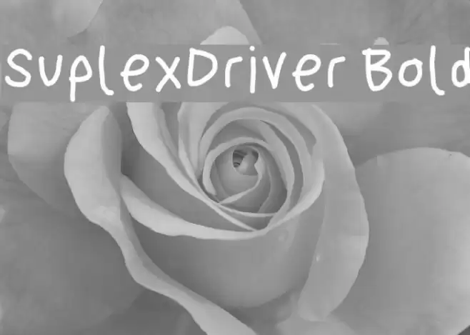 SuplexDriver Bold Font examples