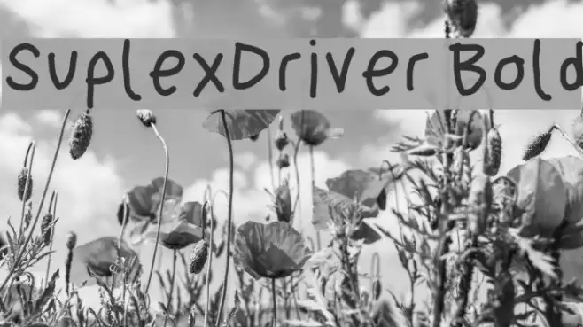 SuplexDriver Bold Font examples