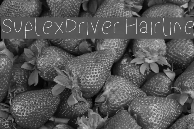 SuplexDriver Hairline Font examples