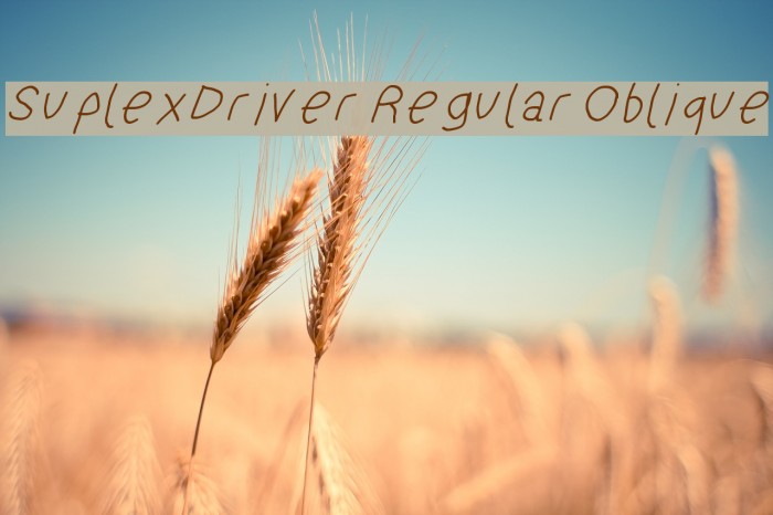SuplexDriver Regular Oblique Font examples