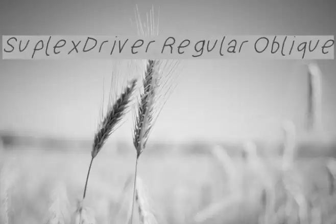 SuplexDriver Regular Oblique Font examples