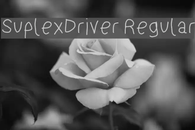 SuplexDriver Regular Font examples