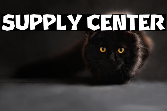 Supply Center Example 1