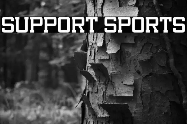 Support Sports Font examples