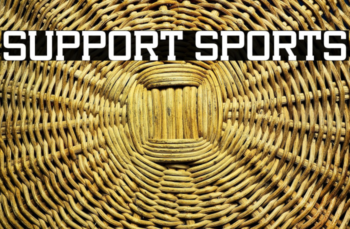 Support Sports Example 2