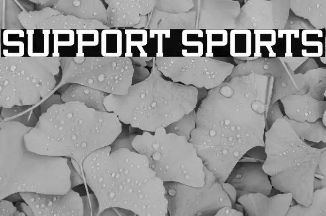 Support Sports Font examples
