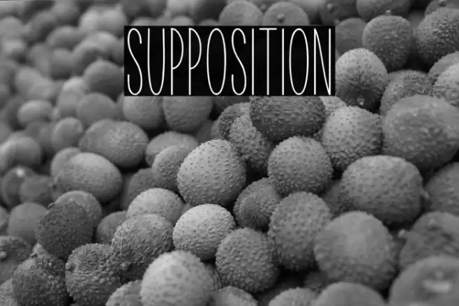Supposition Font examples