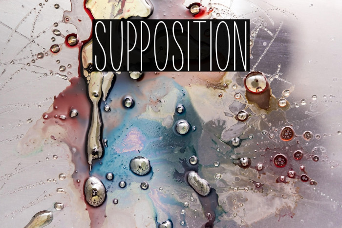 Supposition Example 3