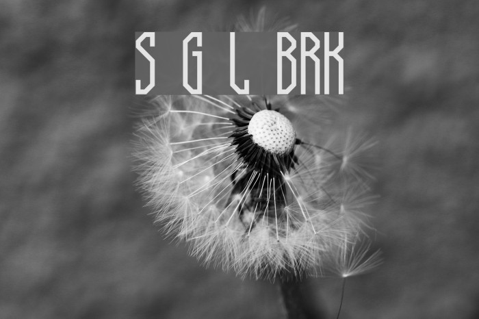 Supra Genius Lines BRK Font examples