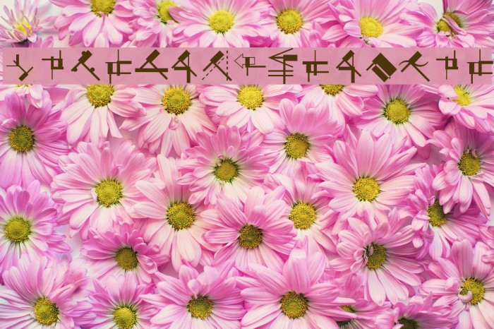 SuprematismFour Font examples