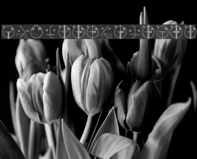 SuprematismOne Font examples