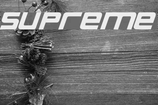 Supreme Font examples