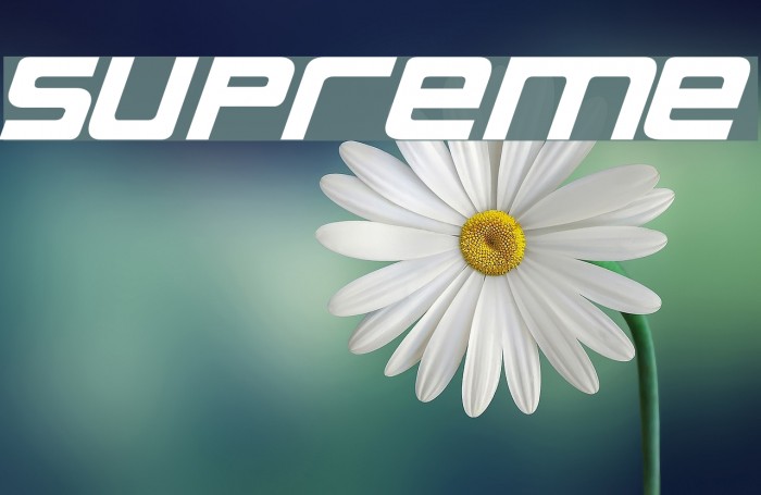 Supreme Шрифта examples