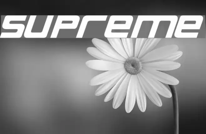 Supreme Font examples