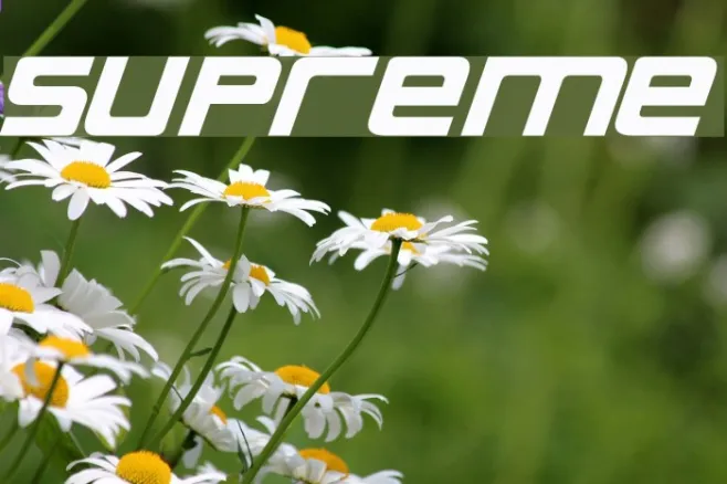 Supreme Example 1