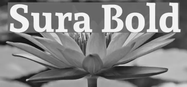 Sura Bold Font examples