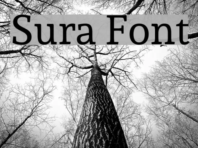 Sura Font examples