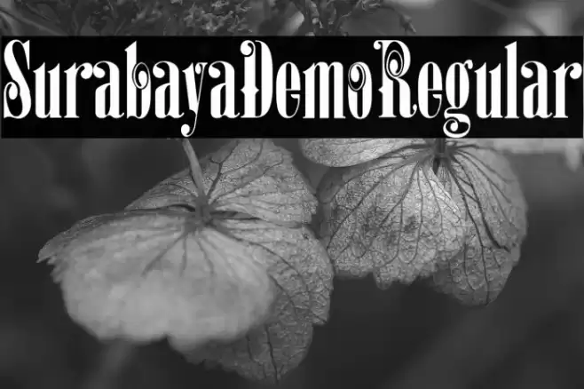 SurabayaDemoRegular Font examples