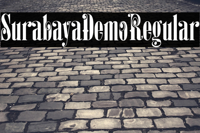 SurabayaDemoRegular Example 3