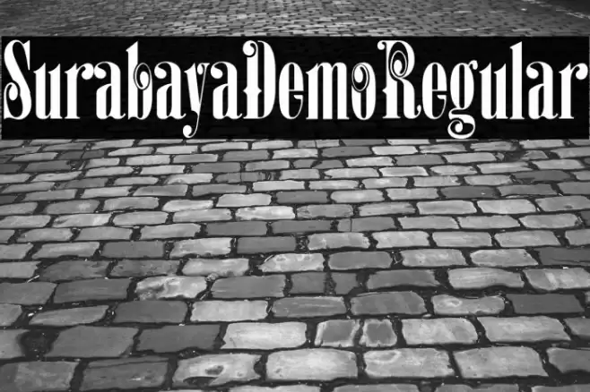 SurabayaDemoRegular Font examples