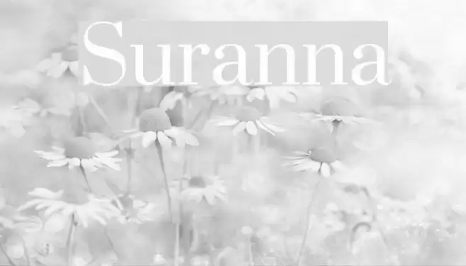 Suranna Font examples
