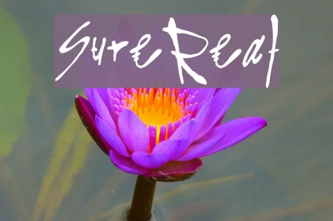 SureReal Example 2