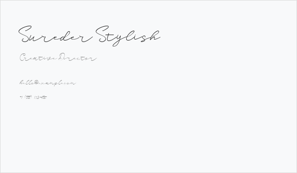 Sureder Stylish Business Card