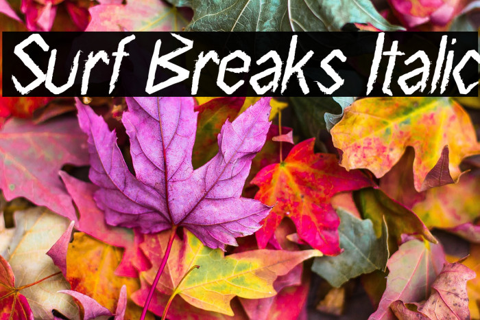 Surf Breaks Italic Example 1