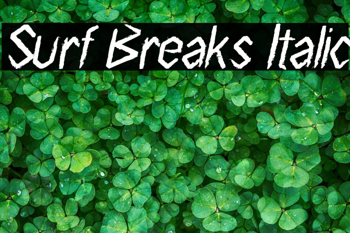 Surf Breaks Italic Example 3