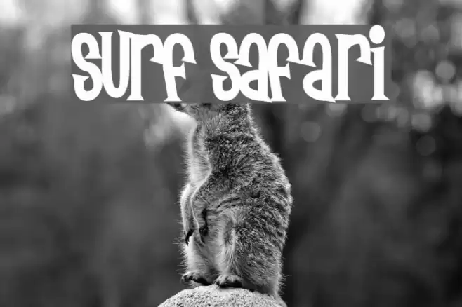 Surf Safari Font examples