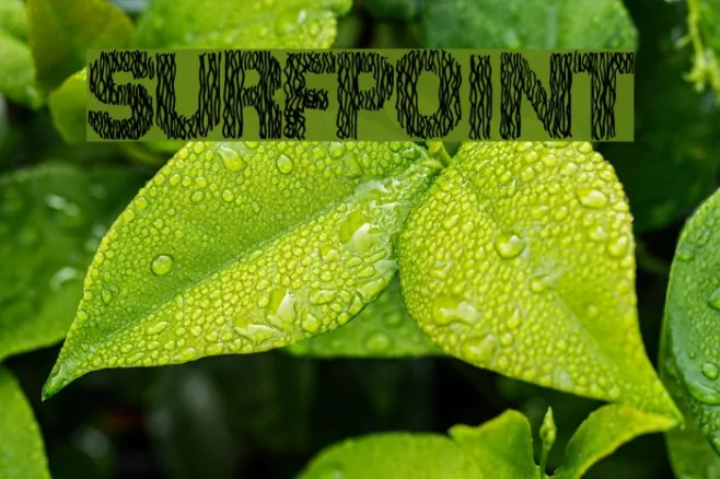SurfPoint Example 1