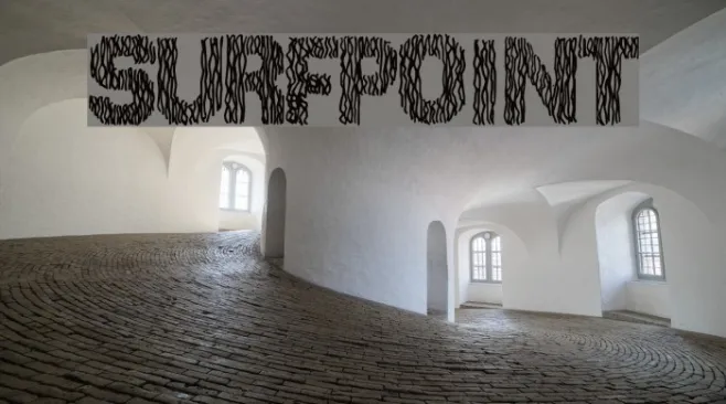 SurfPoint Example 2