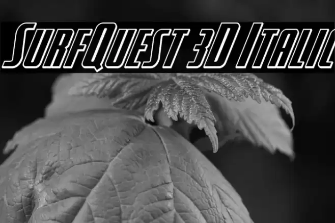 SurfQuest 3D Italic Font examples