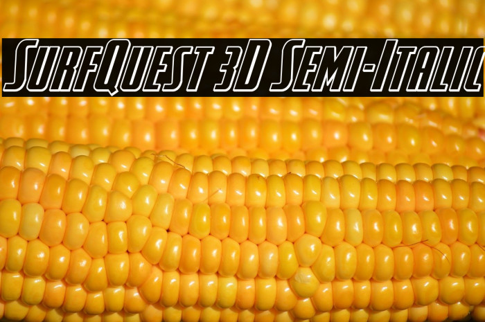 SurfQuest 3D Semi-Italic Example 2