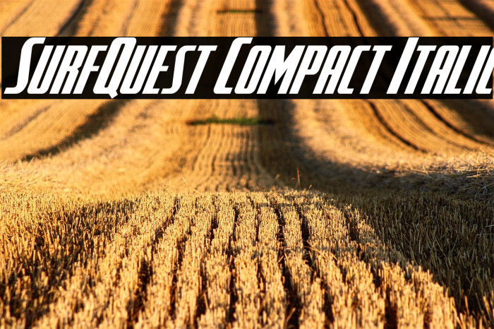 SurfQuest Compact Italic Example 1