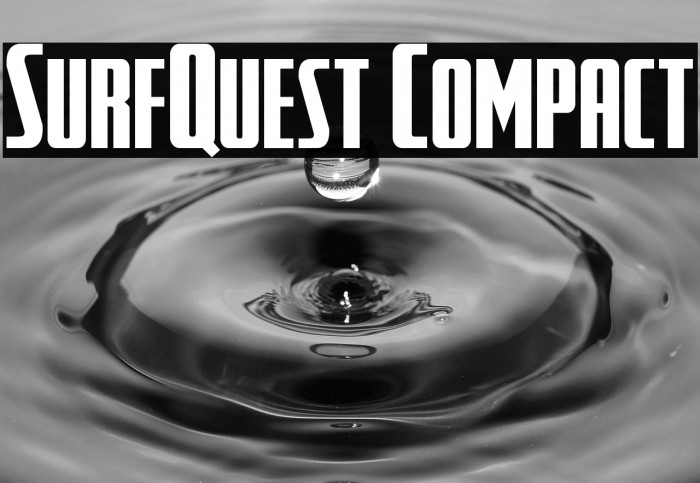 SurfQuest Compact Example 1