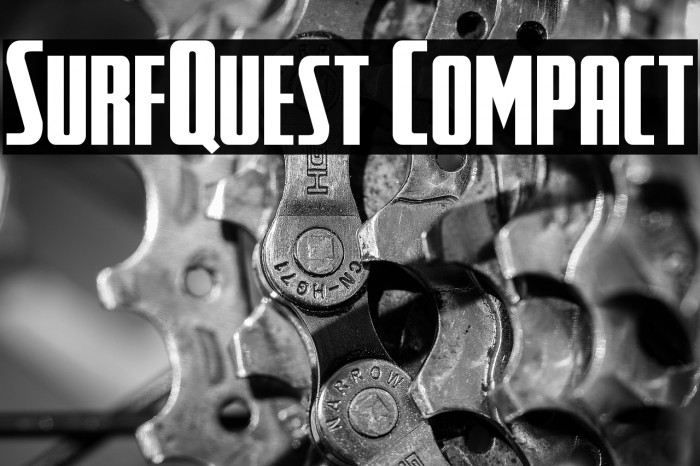 SurfQuest Compact Example 2