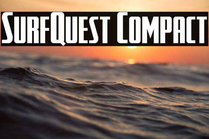 SurfQuest Compact Example 3