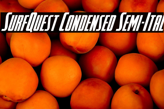 SurfQuest Condensed Semi-Ital Example 1