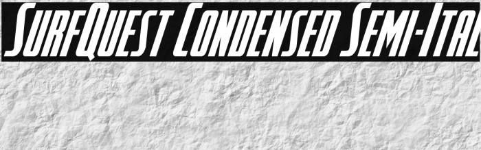 SurfQuest Condensed Semi-Ital Example 3