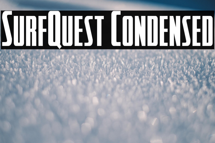 SurfQuest Condensed Example 1