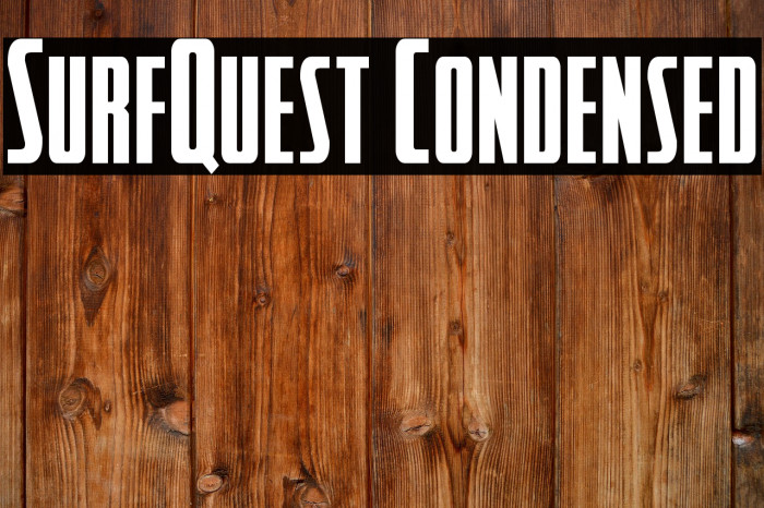 SurfQuest Condensed Example 2