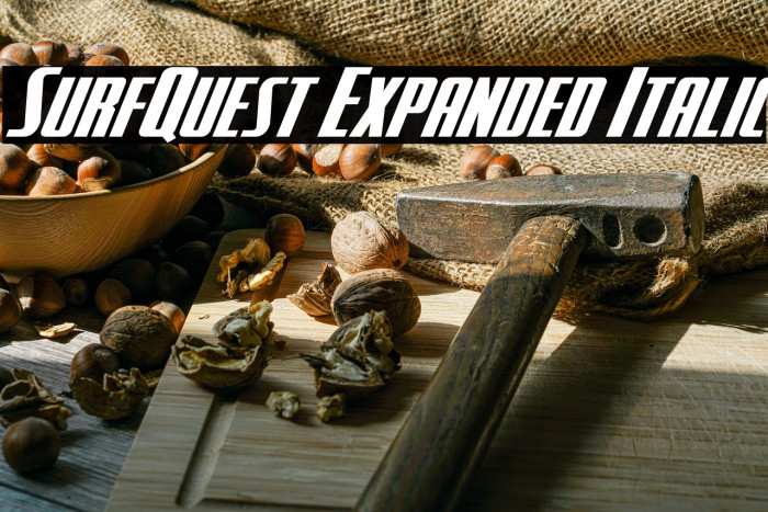 SurfQuest Expanded Italic Example 3