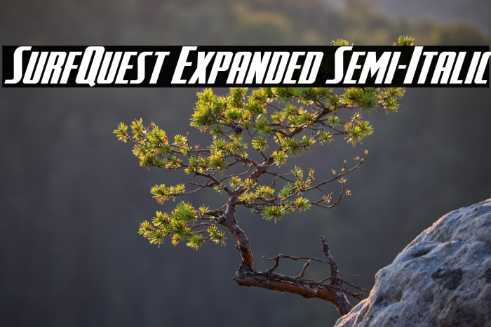 SurfQuest Expanded Semi-Italic Example 1