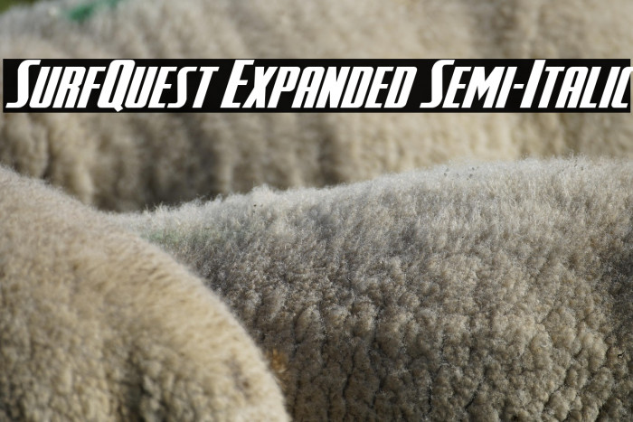 SurfQuest Expanded Semi-Italic Example 2