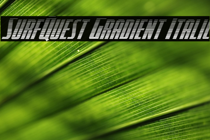 SurfQuest Gradient Italic Example 2