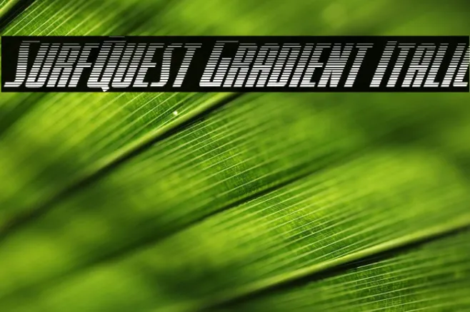 SurfQuest Gradient Italic Example 2