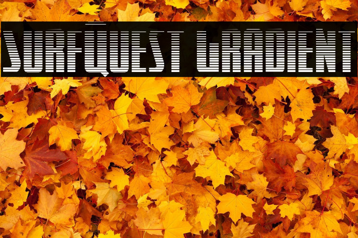 SurfQuest Gradient Example 1